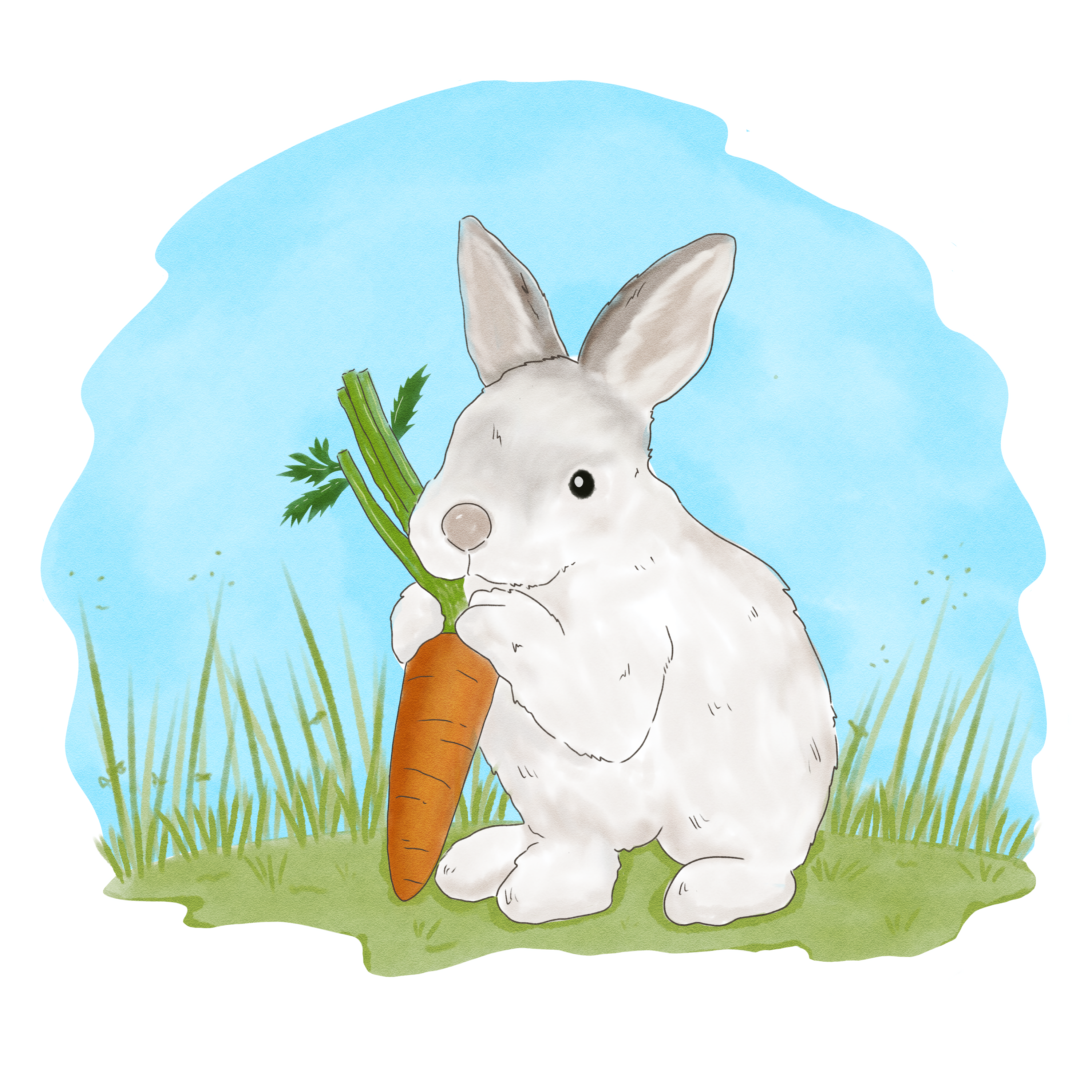 Example of Custom Artwork For Kids' Books