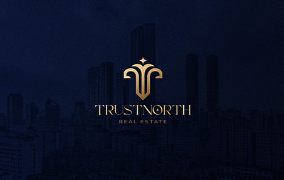 Trustnorth Logo Design branding graphic design logo