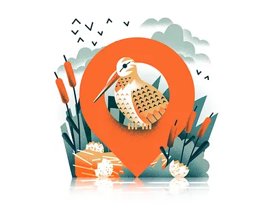Nature Conservancy bird daniele simonelli dsgn editorial illustration illustration nest texture vector woodcock