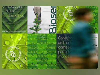 Biosensu - Consulting Identity brand design brand identity branding consulting company design eco eco friendly environmental graphic design greentech logo logo design nature plant renewable sustainability symbol vector wind energy zeero waste