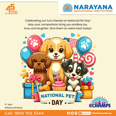 National Pet day branding graphic design