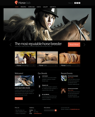 Horse Club Website! graphic design horse club website! ui