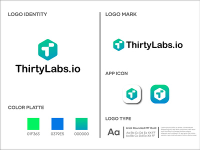 ThirtyLabs Logo app logo lettermark logo logo design saas logo tech logo technology logo wordmark logo