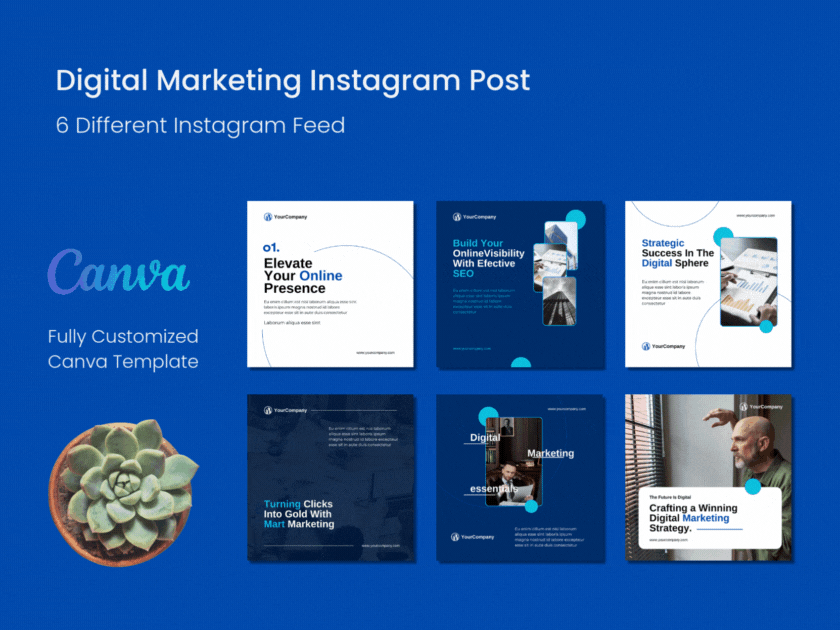 Digital Marketing Instagram Post branding graphic design motion graphics ui