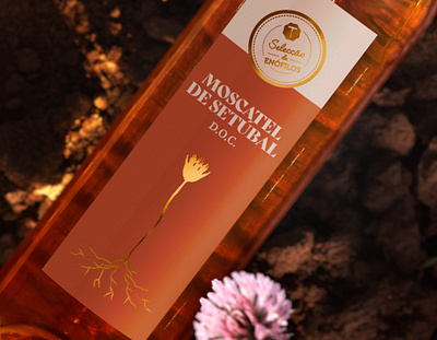 Selecção de Enófilos, Moscatel branding branding identity design graphic design illustration label design packaging