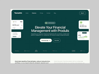 Website Template - Payable design template ui web webflow