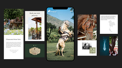 Mobile Responsive Horse Ranch Website branding creative design graphic design illustration logo ui ux web website