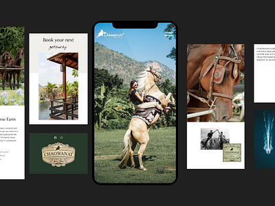 Mobile Responsive Horse Ranch Website branding creative design graphic design illustration logo ui ux web website