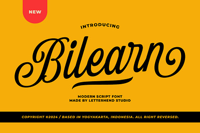 Bilearn Modern Script freebies hand lettered font