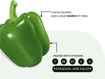 Capsicum Diet Marketing Design banner branding design graphic design marketing poster social media marketing