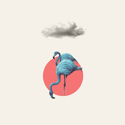 Flamingos birdillustration collage collageillustration flamingo visualdesign wildlife