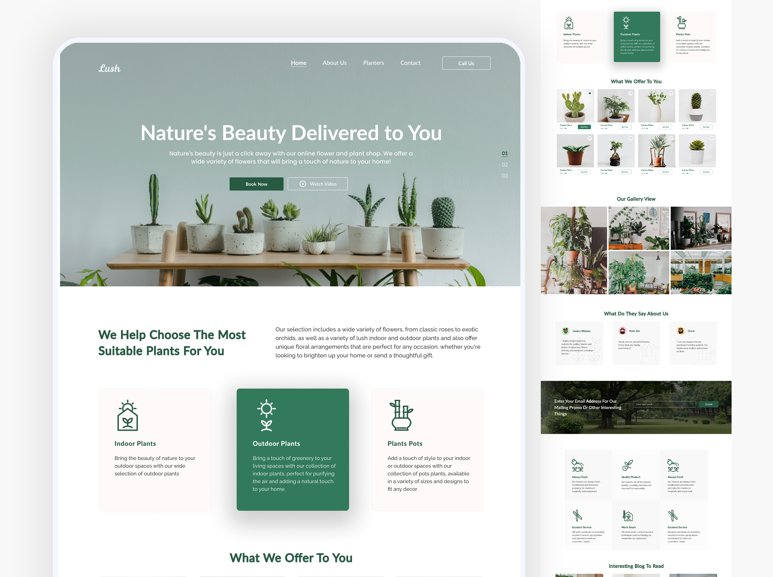 Nature's Plants website Landing Page app design dashboard design design figma design figma website illustration landing page design ui ui design ui ux design