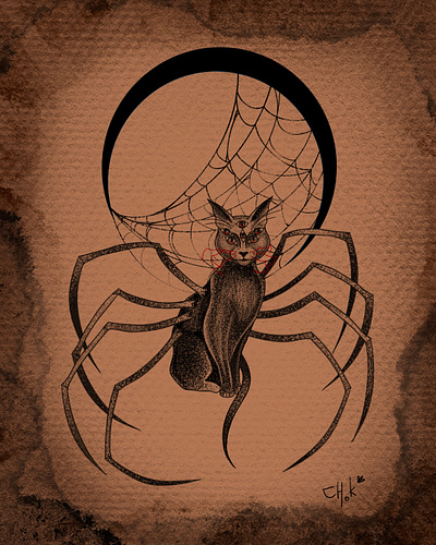 Spider cat book illustration cat illustration cat spider character design dark art dark drawing digital art digital illustration digital painting drawing fantasy art fantasy illustration graphic drawing illustration witchcraft witches cat witchy drawing