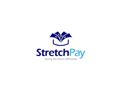 StretchPay Logo Design (Style guide) brand brand design branding design graphic design logo logo design stretch pay