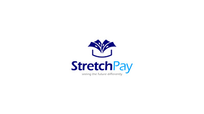 StretchPay Logo Design (Style guide) brand brand design branding design graphic design logo logo design stretch pay