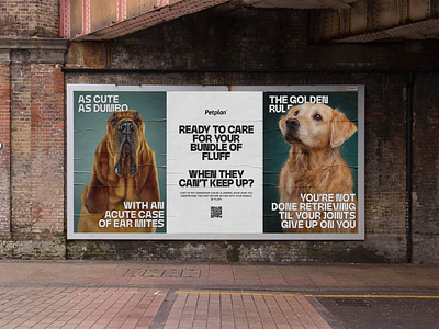 TBWA Pet costs