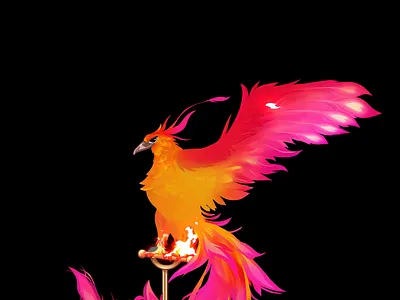 fenix animation branding fenix motion graphics