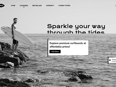 Landing page- Surfboard selling website graphic design ui