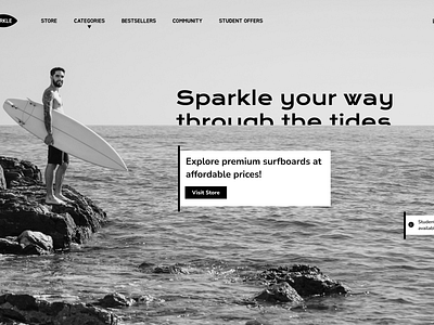 Landing page- Surfboard selling website graphic design ui