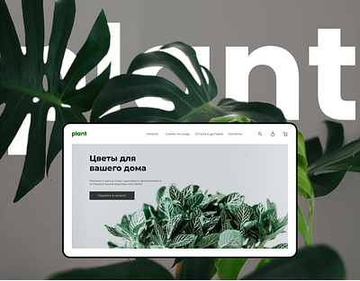 Дизайн интернет-магазина plant design figma ui ux web