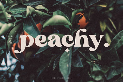 Blanch Sage - Retro Font blanch sage retro font boho font bold serif branding font chic cool fashion fat serif feminime funky groovy font logo font magazine stylish trendy vintage font wedding