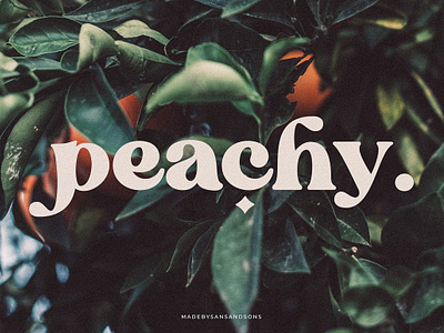 Blanch Sage - Retro Font blanch sage retro font boho font bold serif branding font chic cool fashion fat serif feminime funky groovy font logo font magazine stylish trendy vintage font wedding