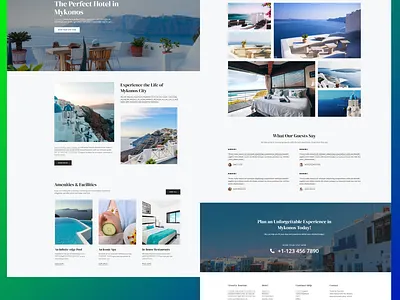 Blog website design ecommerce landing web website website design wordpress