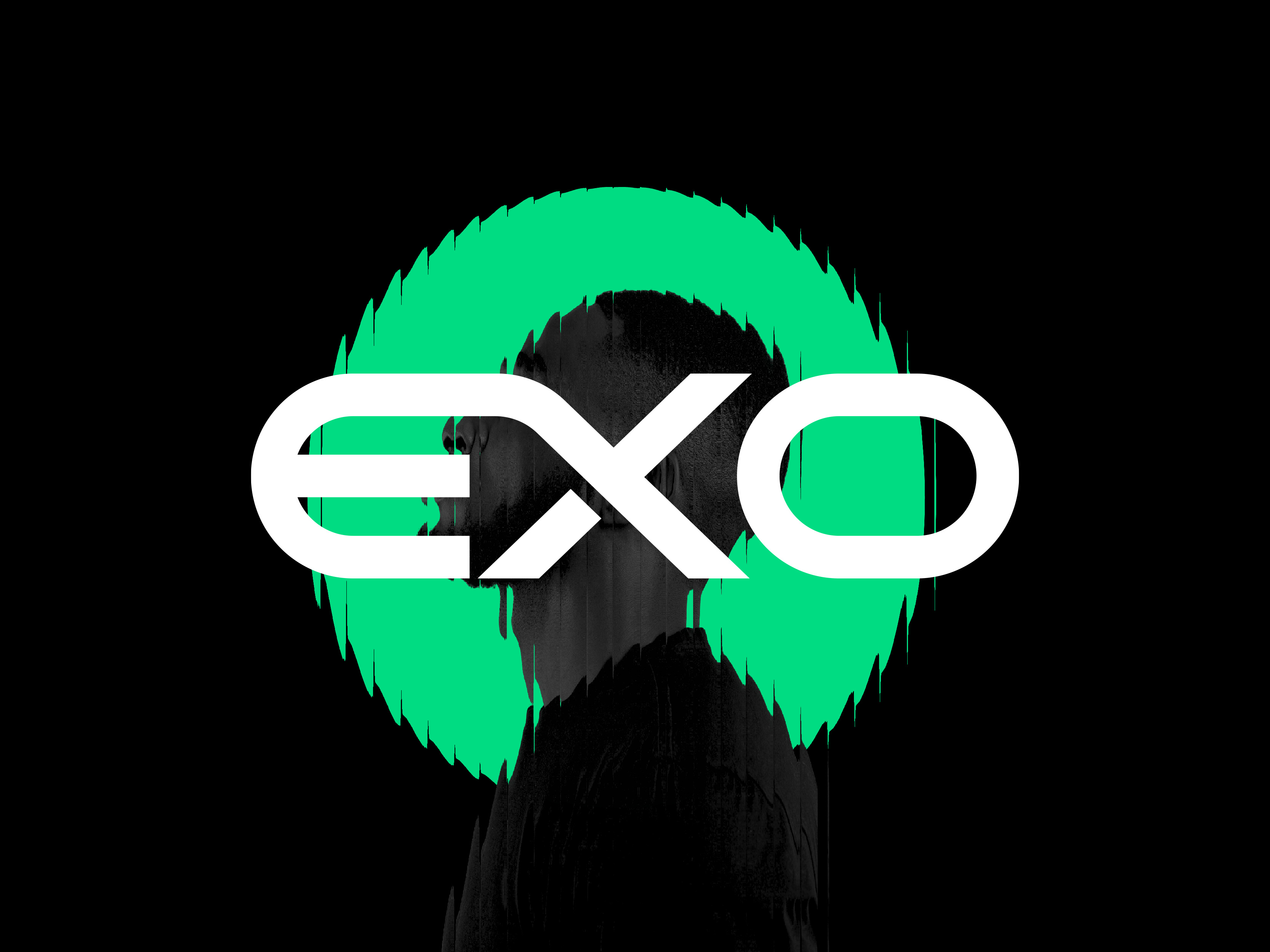 Example of Wordmark Logo Design