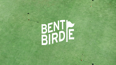 Bent Birdie Seltzer - Brand Identity art direction brand design brand identity branding design graphic design illustration logo logo design package design visual identity