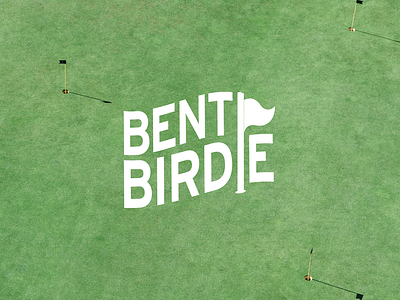 Bent Birdie Seltzer - Brand Identity art direction brand design brand identity branding design graphic design illustration logo logo design package design visual identity