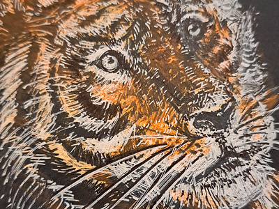 Tiger animalillustration artisticvision artwork bigcats detailedart exoticwildlife felinebeauty handdrawn intricateart jungleanimals natureart roar tigerart tigereye tigerface tigerportrait wildlifedrawing wildlifeillustration