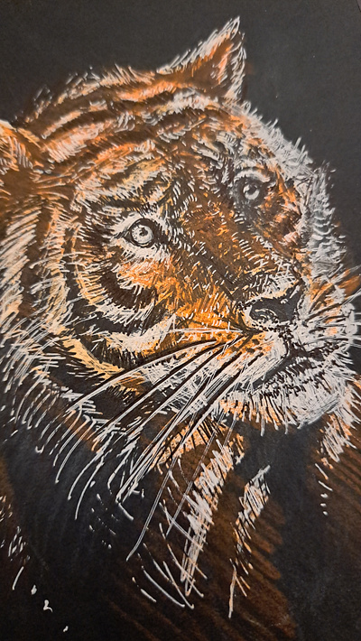 Tiger animalillustration artisticvision artwork bigcats detailedart exoticwildlife felinebeauty handdrawn intricateart jungleanimals natureart roar tigerart tigereye tigerface tigerportrait wildlifedrawing wildlifeillustration