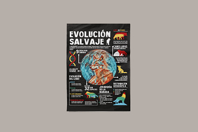 Evolución Salvaje - Infografía design graphic design