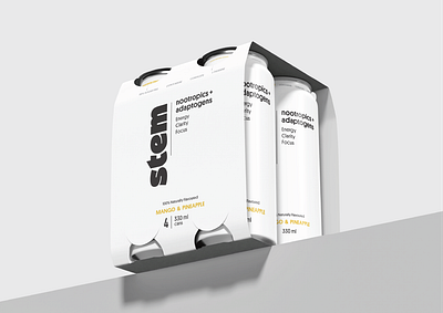 STEM branding graphic design logo packaging