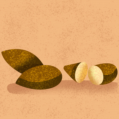 Almond Illustration animation art branding design dribbleart artwork graphic design illustration inspiration logo ui