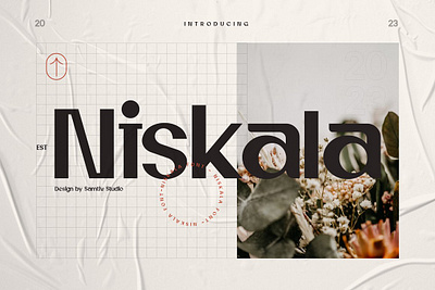 Niskala Elegant Stylist Typeface attractive fonts branding fonts classy fonts didot fonts display fonts elegant classic elegant fonts fancy fonts fashion fonts fashionable fonts feminine fonts logo fonts magazine masculine fonts modern fonts niskala elegant stylist typeface serif fonts wedding wedding fonts women fonts