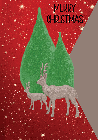 Christmas Card Design graphic design