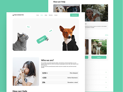 Volunteering, animals, About page cat adoption dog adoption shelter ui ux volunteer web design