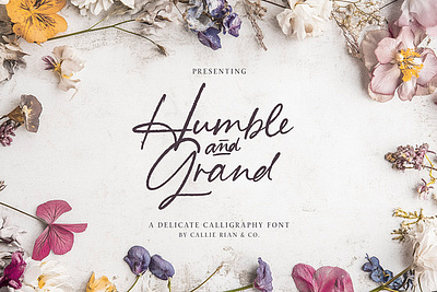 Humble & Grand Handwritten Script alternates branding font bridal font class cursive font cursive font cute font editorial font handwritten script humble and grand invitation font ligature font pen font pretty font script font wedding font