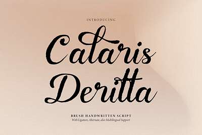 Calaris Deritta | Brush Handwritten Script luxury