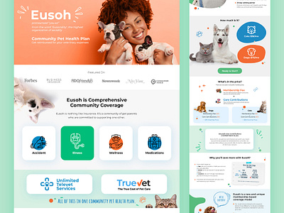 Website Design EU designer dog figma modern pet ui ux website xd