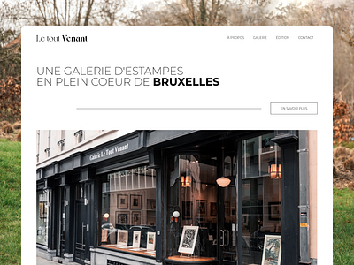 Le tout Venant branding design elementor logo plesk ui ux web design website wordpress