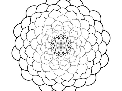 mandala design graphic design vecd