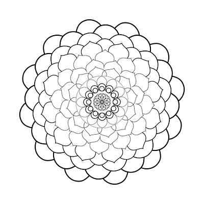 mandala design graphic design vecd