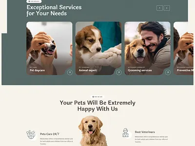 Big Brids - A WordPress Website bricks bricksbuilder wordpress