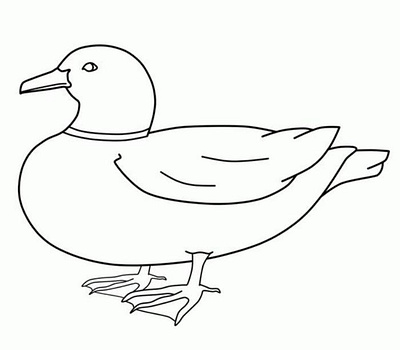 Duck Coloring Pages heathermillar