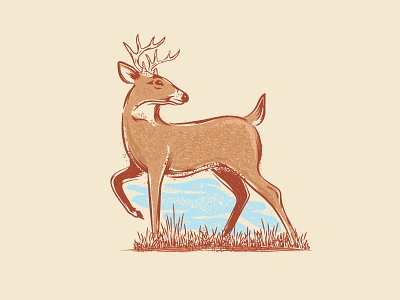 Whitetail Deer animal buck deer design illustration texture vector whitetail wildlife