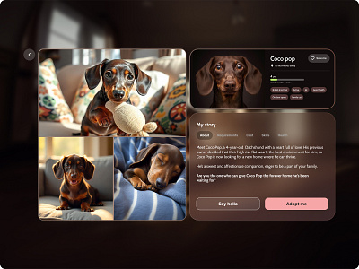 Puppy profile: Pet Adoption Vision PRO animation apple vision ar glass pets puppy ui ux vr