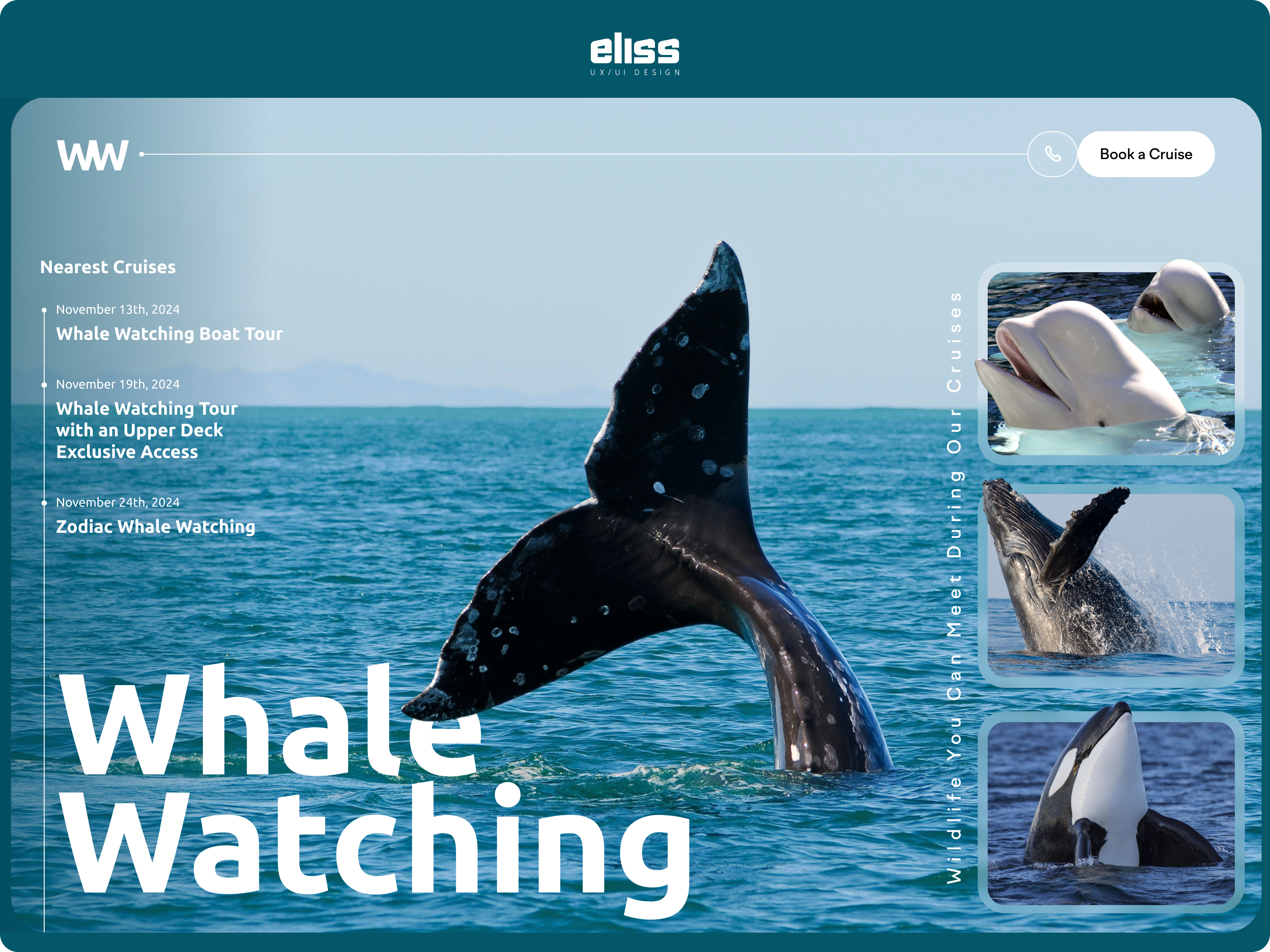 Example of Custom High Converting Landing Design