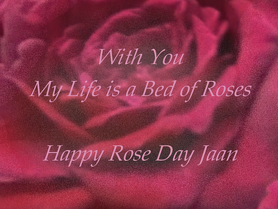 Happy Rose Day Quotes Images for GF BF happyrosedayjaan roseday2025 rosedayimages rosedayquotes rosedayquoteshindi rosedayquotesinhindi rosedayshayari rosedaywishes